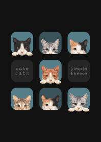 CATS - Mixed breed cat 01 - CLASSY BLUE