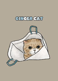 gingercat7 - khaki