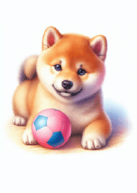 Shiba with the Color Ball