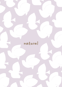 many white birds18 from Japan