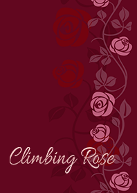 Climbing Rose*bordeaux