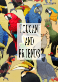 TOUCAN AND FRIENDS