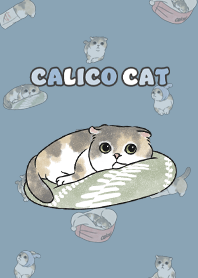 calicocat2 / pale blue