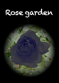 Rose garden -black-