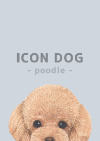 ICON DOG - toy poodle - PASTEL BL/05