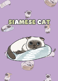 siamesecat7 - purple