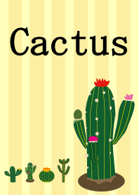 Cactus!