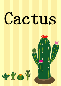 Cactus！