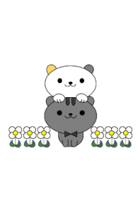 White cat "Purin" and gray cat "Toppo"1