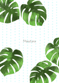 全運気アップ！幸運のモンステラ