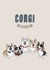 corgicorgi3 / beige