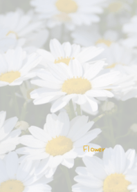 Flower Theme 7