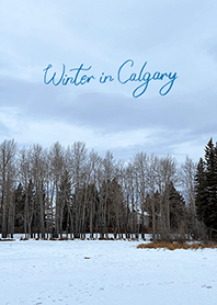 Winter in Calgary (4)