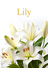 "Lily vol.4" theme
