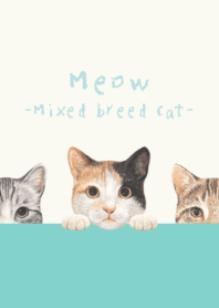 Meow - Mixed breed cat 01 - AQUA GREEN