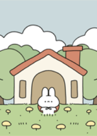 The rabbit lovely in the home