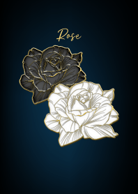 Black and white roses 48