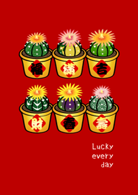 開運吉祥盆栽(紅色)