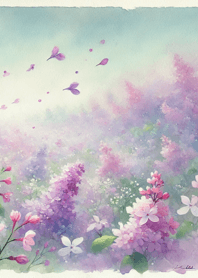 Sweet Lilac 004