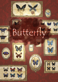 beautifully butterfly