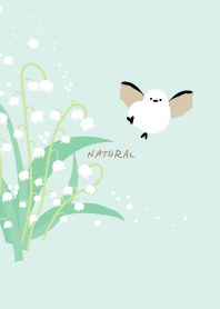 Long-tailed tit Lily of the valley19 J