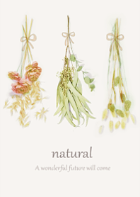 Dried flowers that sleep a little6.