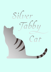 Cat - Silver Tabby -