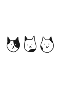 LOOSE CAT/BICOLOR