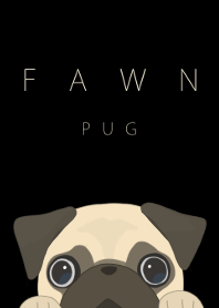 Fawn pug