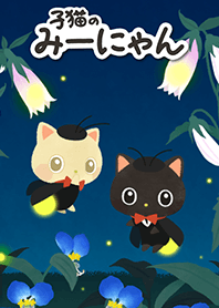 Miinyan of the kitten -Firefly-