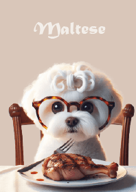 Maltese Toby puppy eats with you