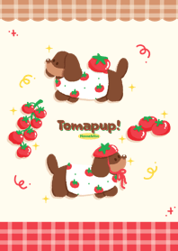 Tomapup!