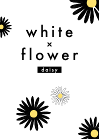 White x Flower (ดอกเดซี่)