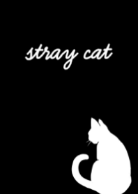 stray cat.