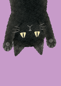 A unique cat08 light purple
