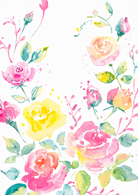 Beautiful rose flower(R4979)