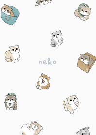 neko combo5 - white