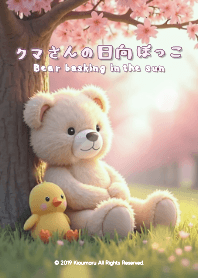 クマさんの日向ぼっこ