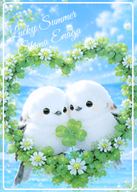 Lucky Summer Shima Enaga