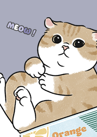 neko single16 / mist purple