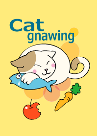 cat gnawing