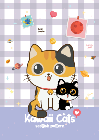 แมวเหมียว ลายสก๊อต สีม่วง