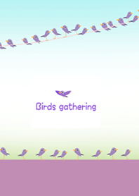 Birds gathering