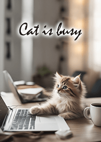 忙しそうな猫♡ Gray