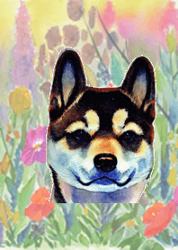 SHIBA INU WATERCOLOR THEME 1