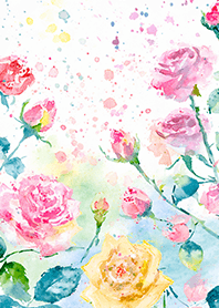 Beautiful rose flower(R4086)