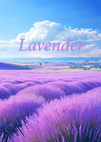 Lavender vol.2