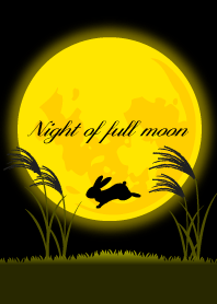 満月の夜.