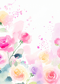 Beautiful rose flower(R4530)