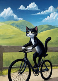 Q version cute cat b222b3